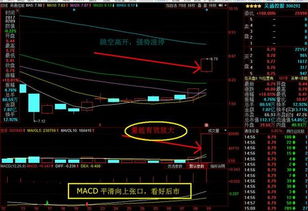 計算機系統集成服務板塊 深度解析后市強勁增長潛力