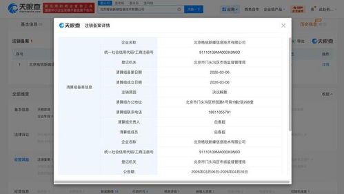 陳震關(guān)聯(lián)公司擬注銷 計算機系統(tǒng)集成服務(wù)的市場變遷與行業(yè)反思